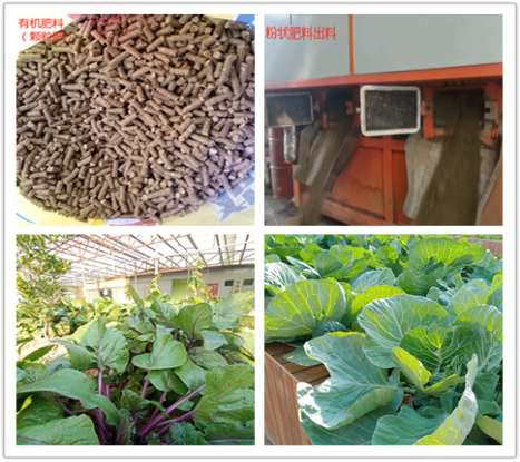 5 三盛环保有机肥料应用